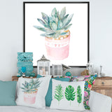 Cactus and Succulent House Plants II