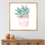 Cactus and Succulent House Plants II