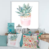 Cactus and Succulent House Plants II