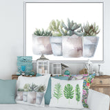 Cactus and Succulent House Plants III