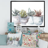 Cactus and Succulent House Plants IV