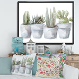 Cactus and Succulent House Plants V