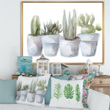 Cactus and Succulent House Plants V