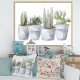 Cactus and Succulent House Plants V