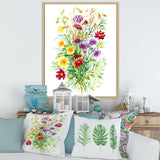 Colorful Wildflowers In Nature