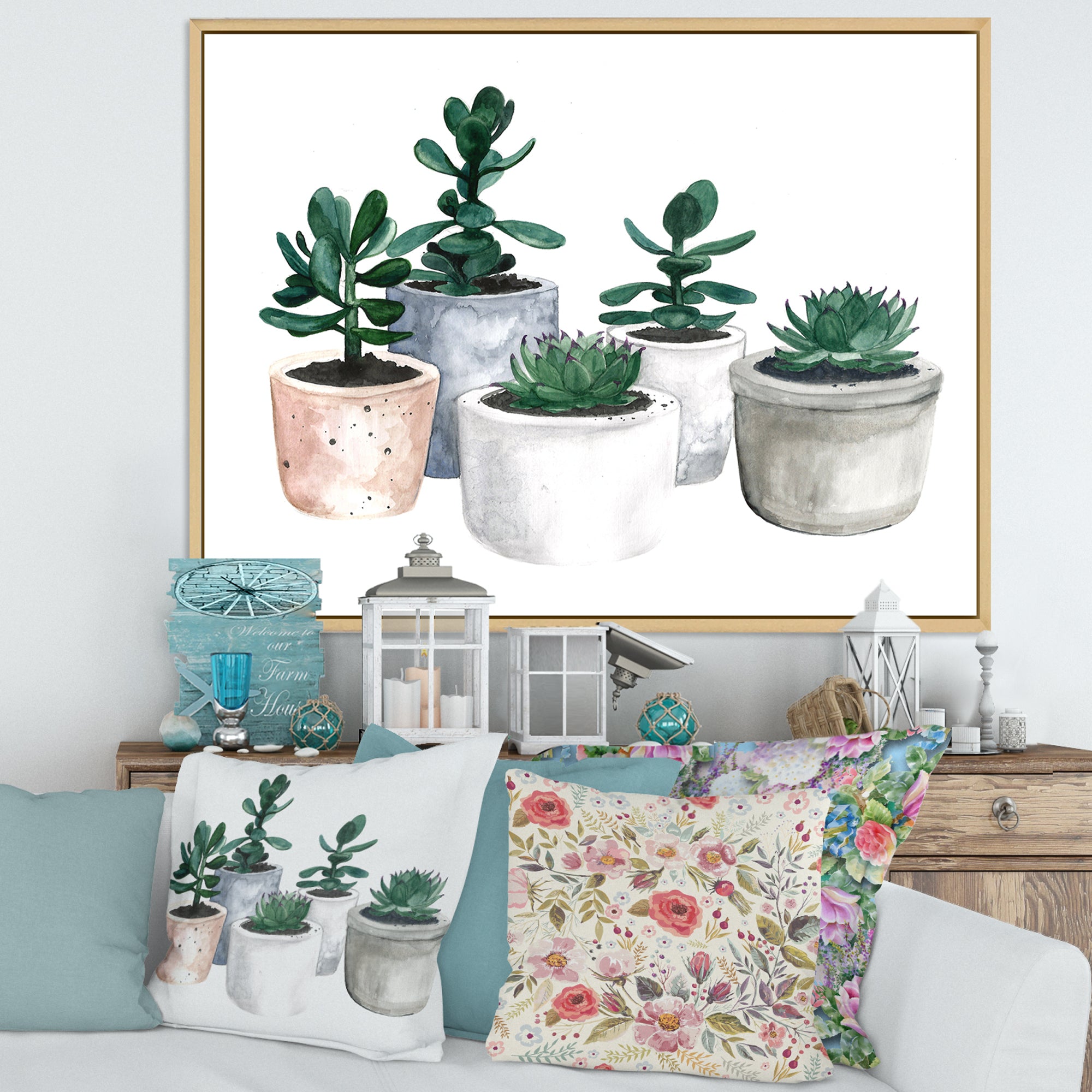 Cactus and Succulent House Plants VI