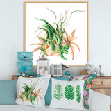 Tropical Leaves Air Plant Succulent