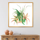 Tropical Leaves Air Plant Succulent