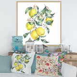 Branch of Yellow Lemons and Leaves I