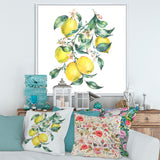 Branch of Yellow Lemons and Leaves I