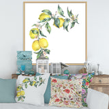 Branch of Yellow Lemons and Leaves II