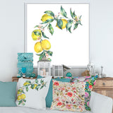 Branch of Yellow Lemons and Leaves II