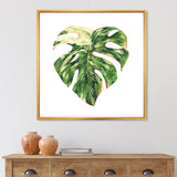 Tropical Green Leaves In Summer Times III