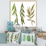Three Willow Branches