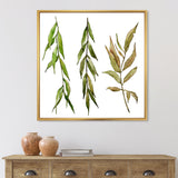 Three Willow Branches