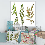 Three Willow Branches