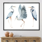 Heron Birds II
