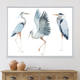 Heron Birds II