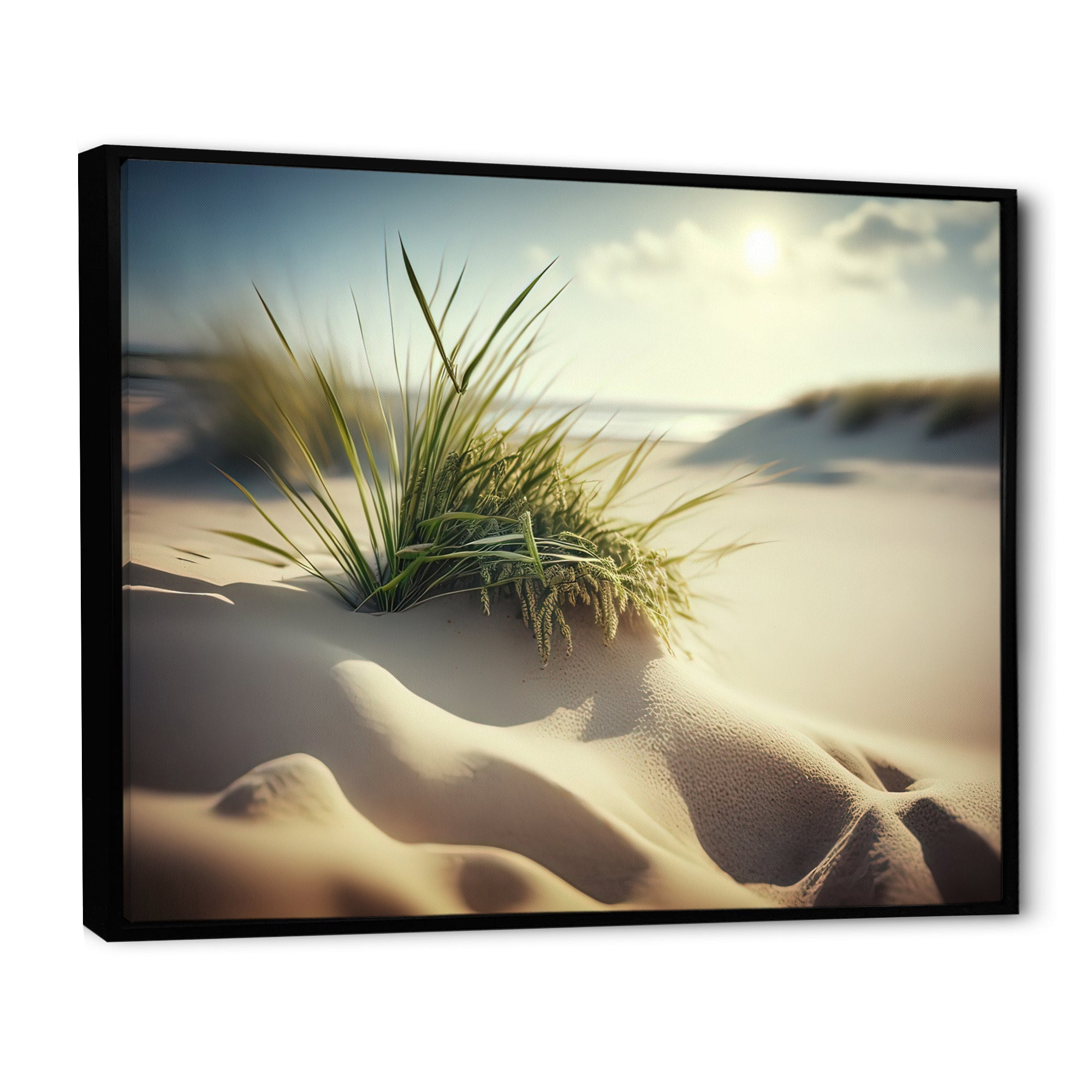 Grass On Sand Dunes I
