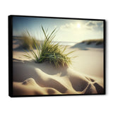 Grass On Sand Dunes I