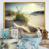 Grass On Sand Dunes I