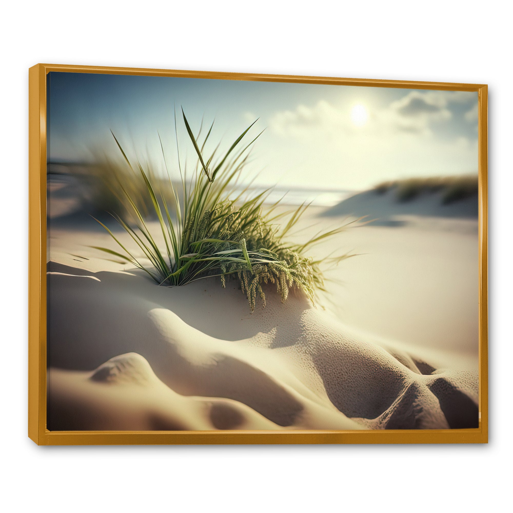 Grass On Sand Dunes I