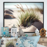 Grass On Sand Dunes II