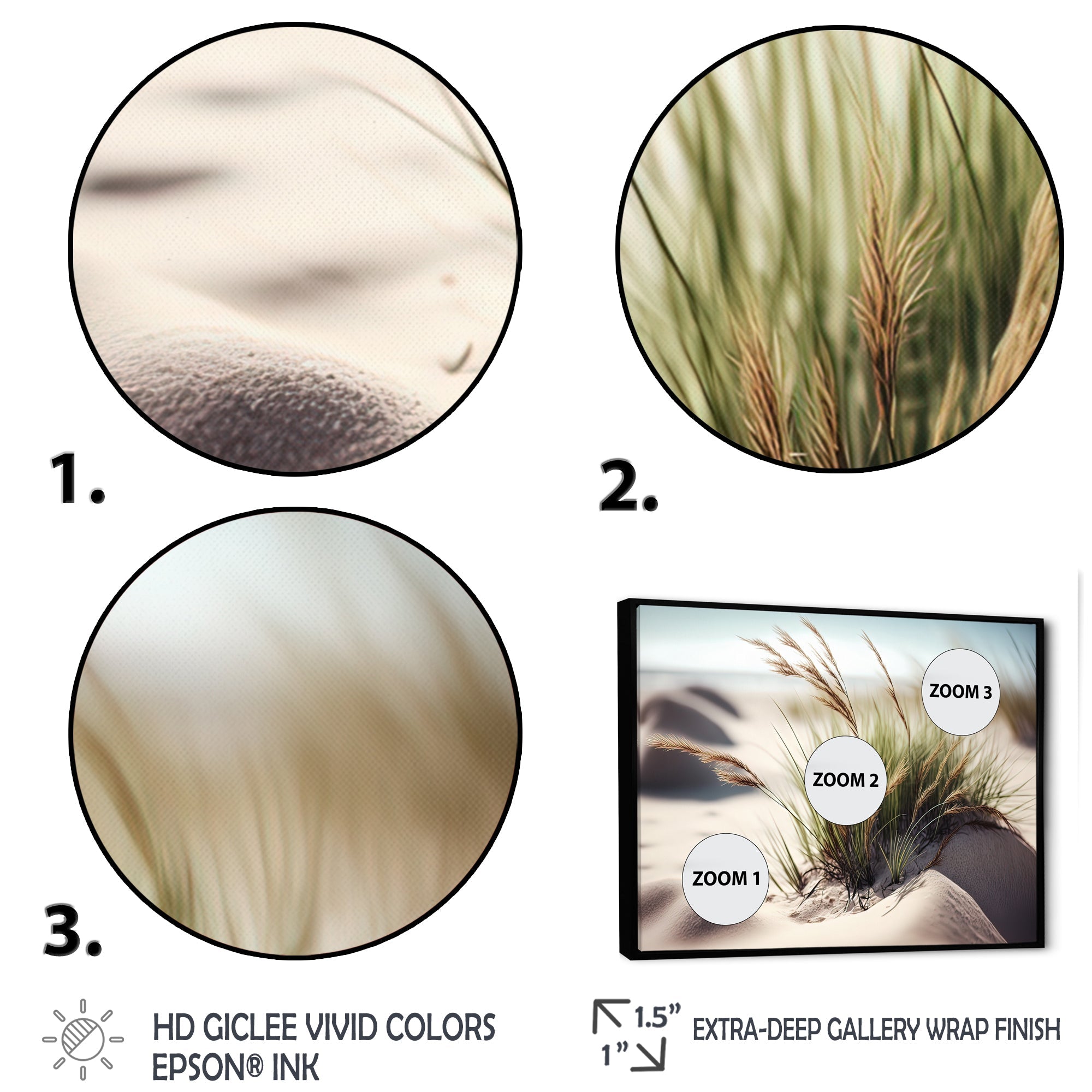 Grass On Sand Dunes II