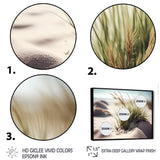 Grass On Sand Dunes II