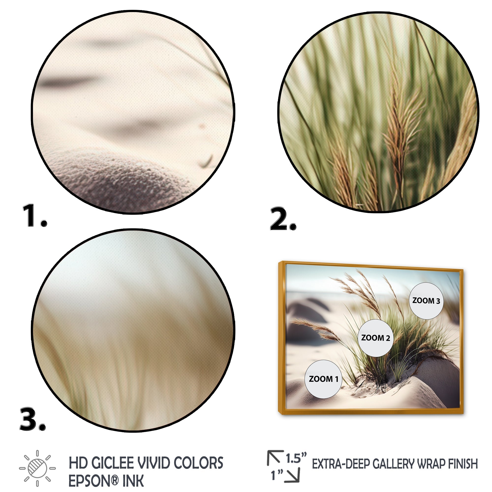 Grass On Sand Dunes II