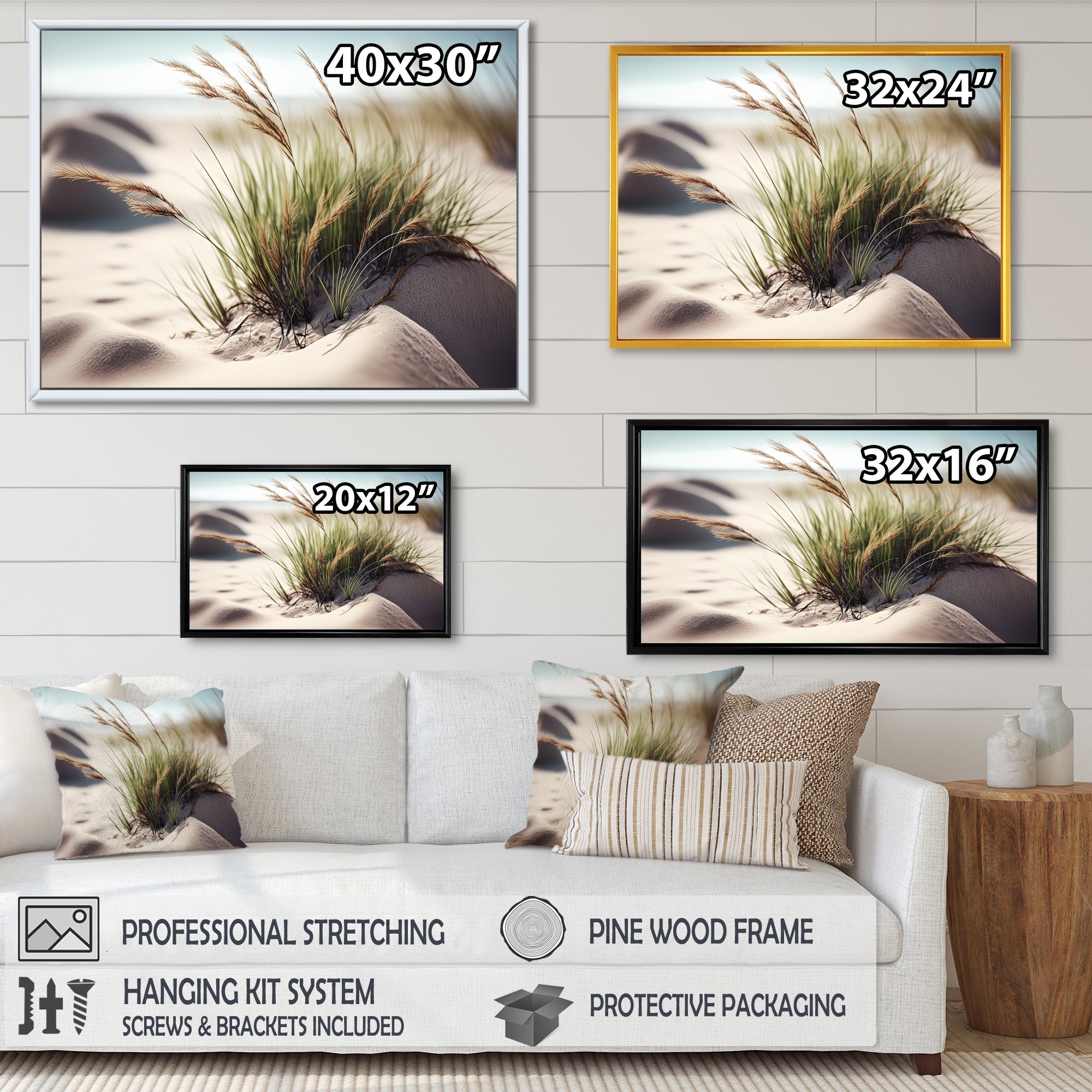 Grass On Sand Dunes II