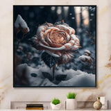 A Blooming Rose Flower In A Forest II