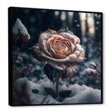 A Blooming Rose Flower In A Forest II