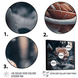 A Blooming Rose Flower In A Forest II