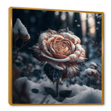A Blooming Rose Flower In A Forest II