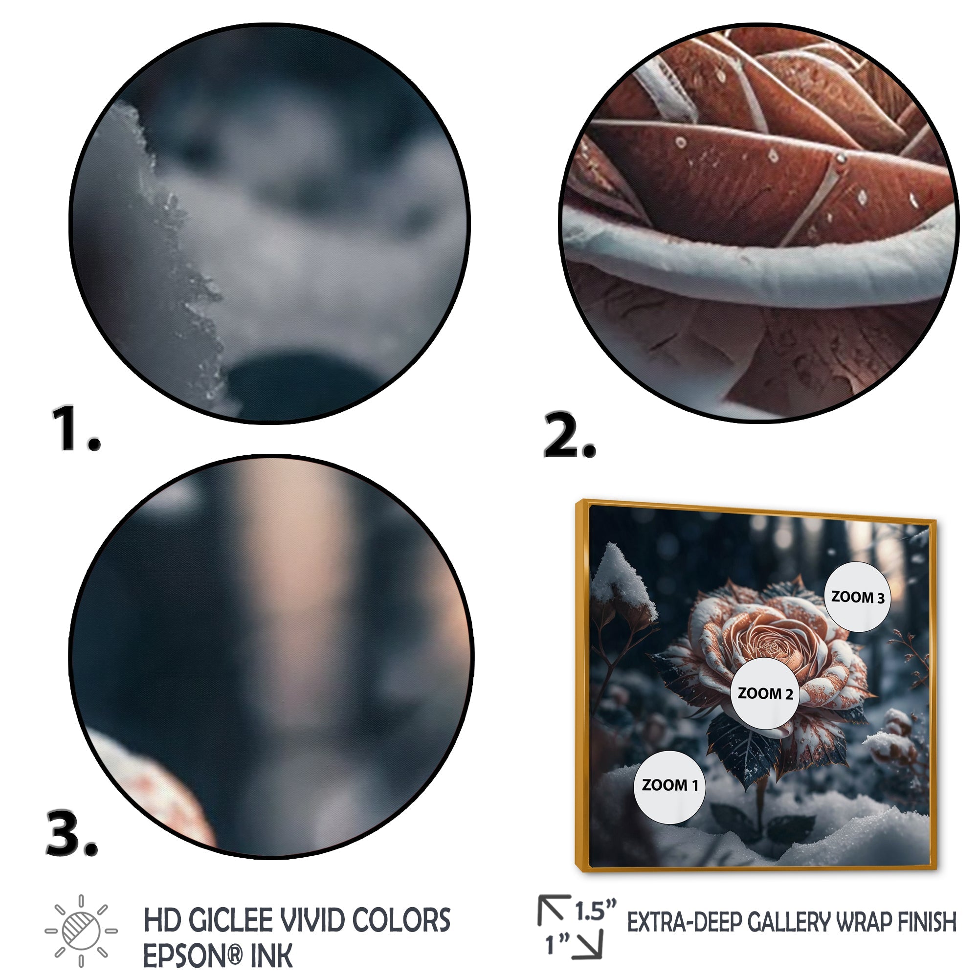 A Blooming Rose Flower In A Forest II