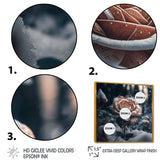 A Blooming Rose Flower In A Forest II