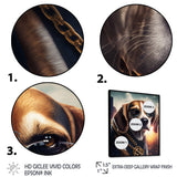 Beagle Gangster In NYC II