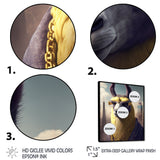 Llama Gangster In NYC