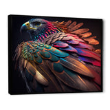 Macro Colorful Feather Eagle II