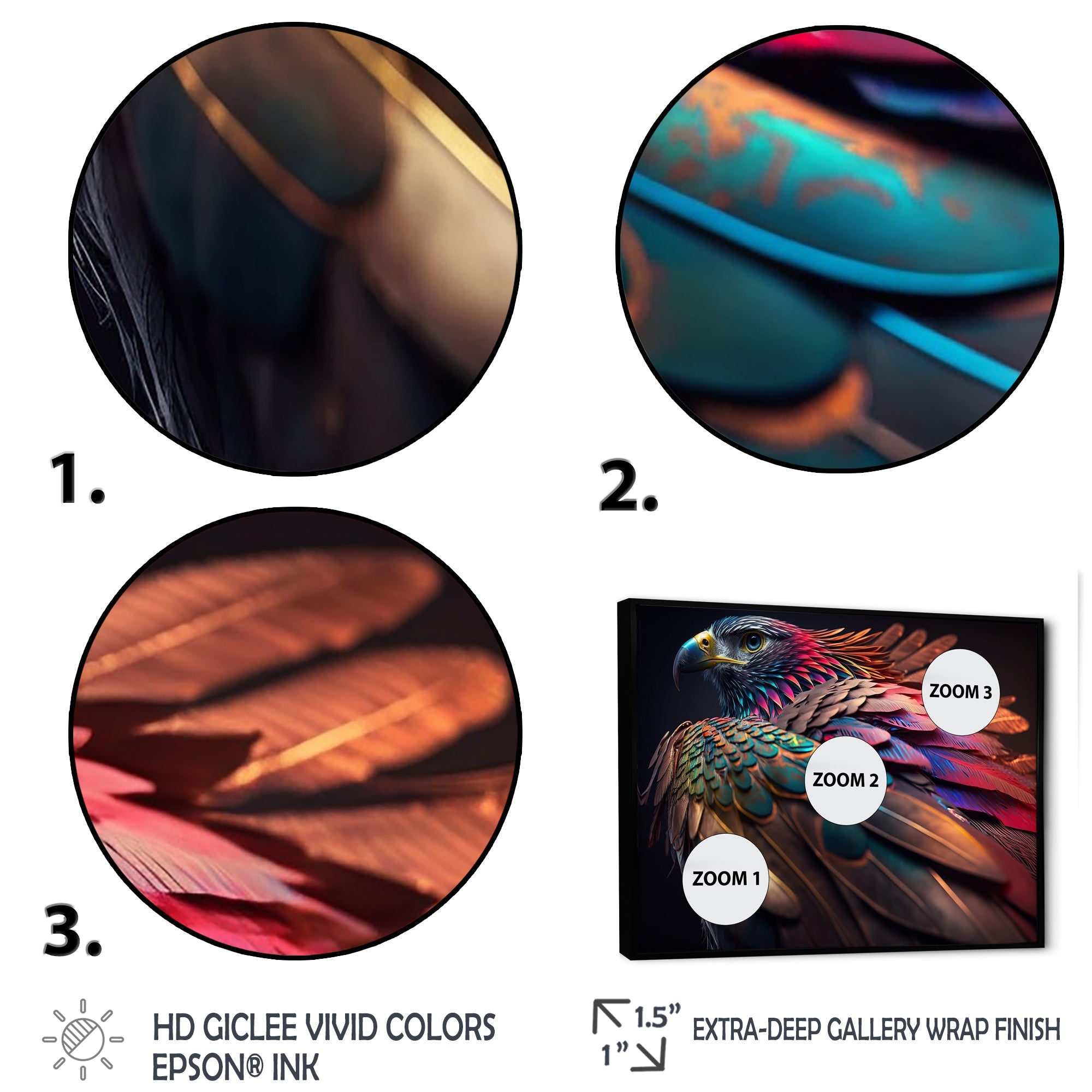 Macro Colorful Feather Eagle II