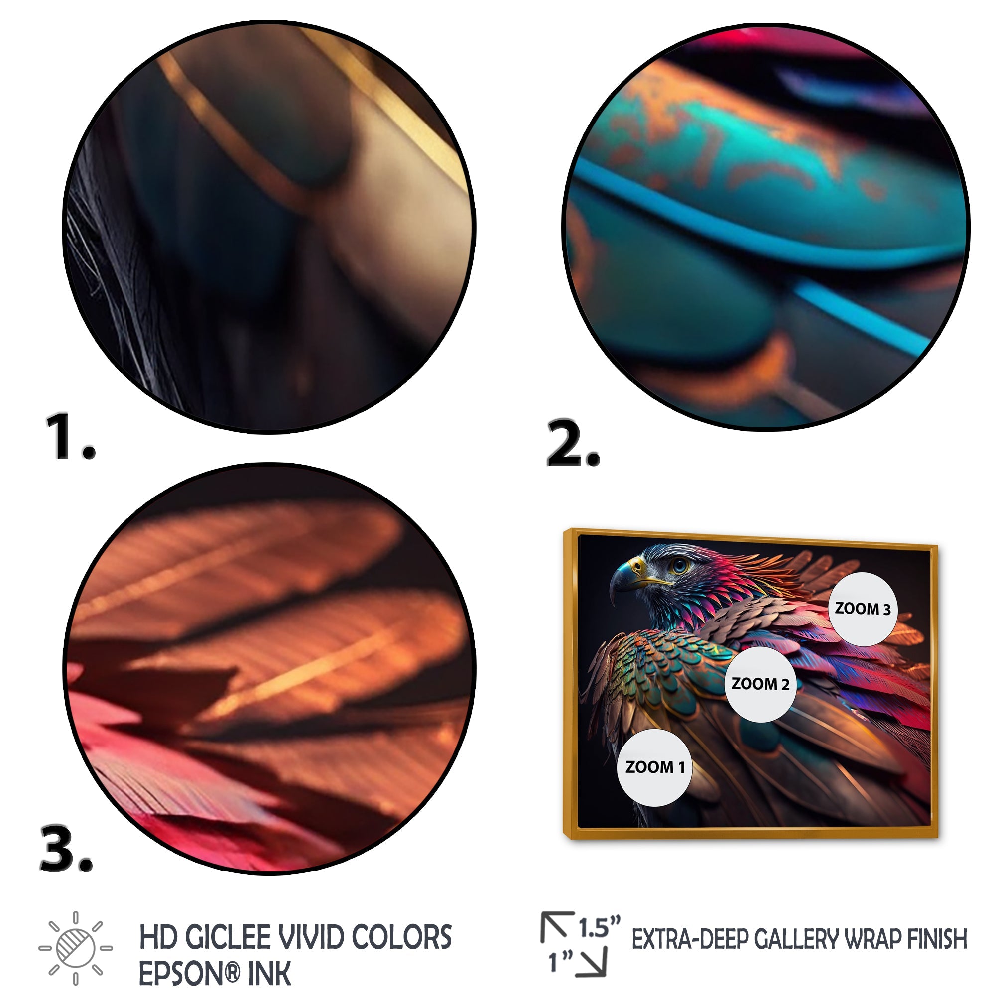 Macro Colorful Feather Eagle II