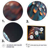 Macro Colorful Feather Eagle V