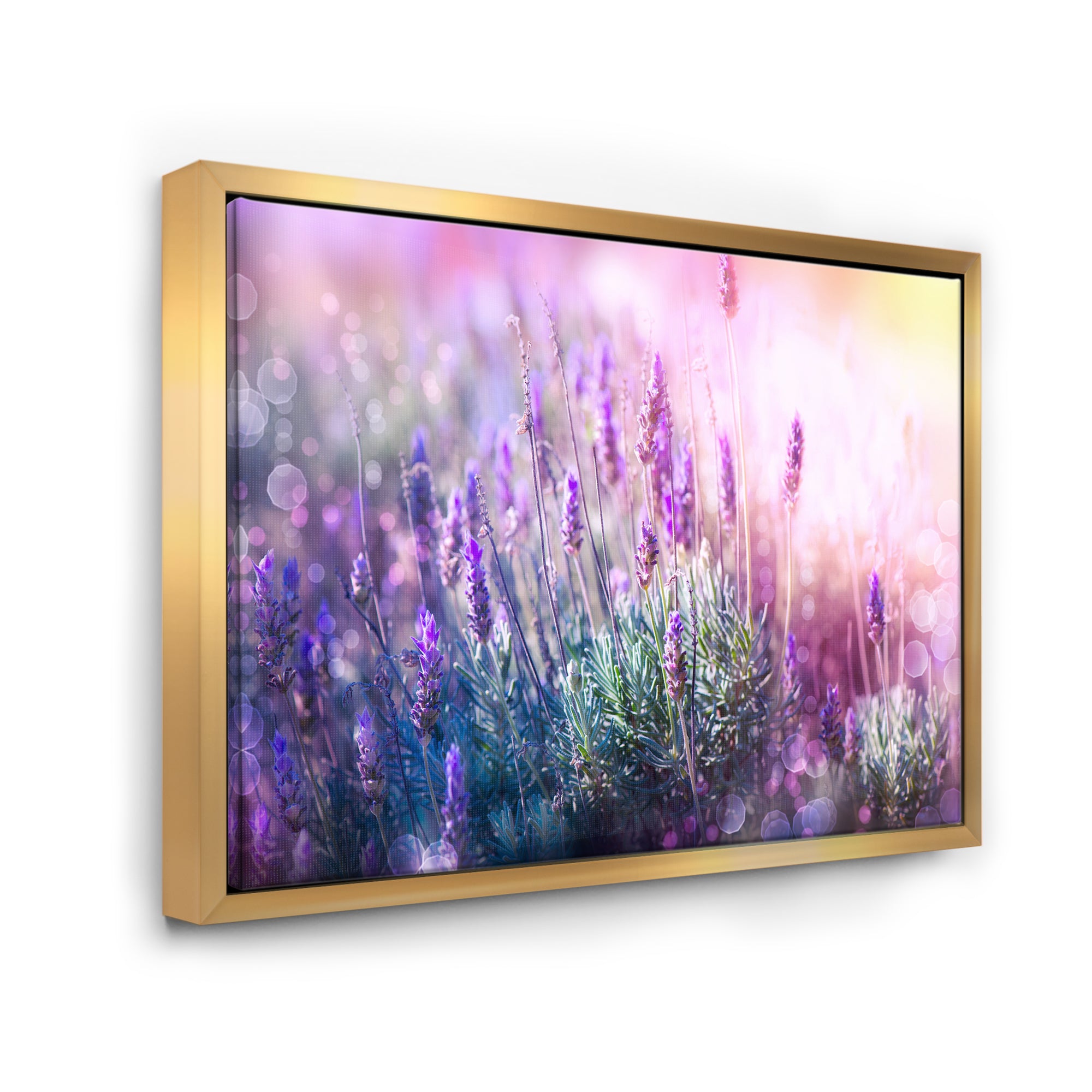 Growing and Blooming Lavender Wall Art