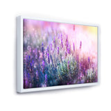 Growing and Blooming Lavender Wall Art