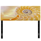 Yellow Shell Spiral upholstered headboard