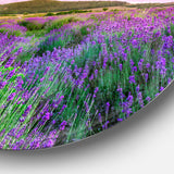 Summer Lavender Field in Tihany' Landscape Metal Circle Wall Art