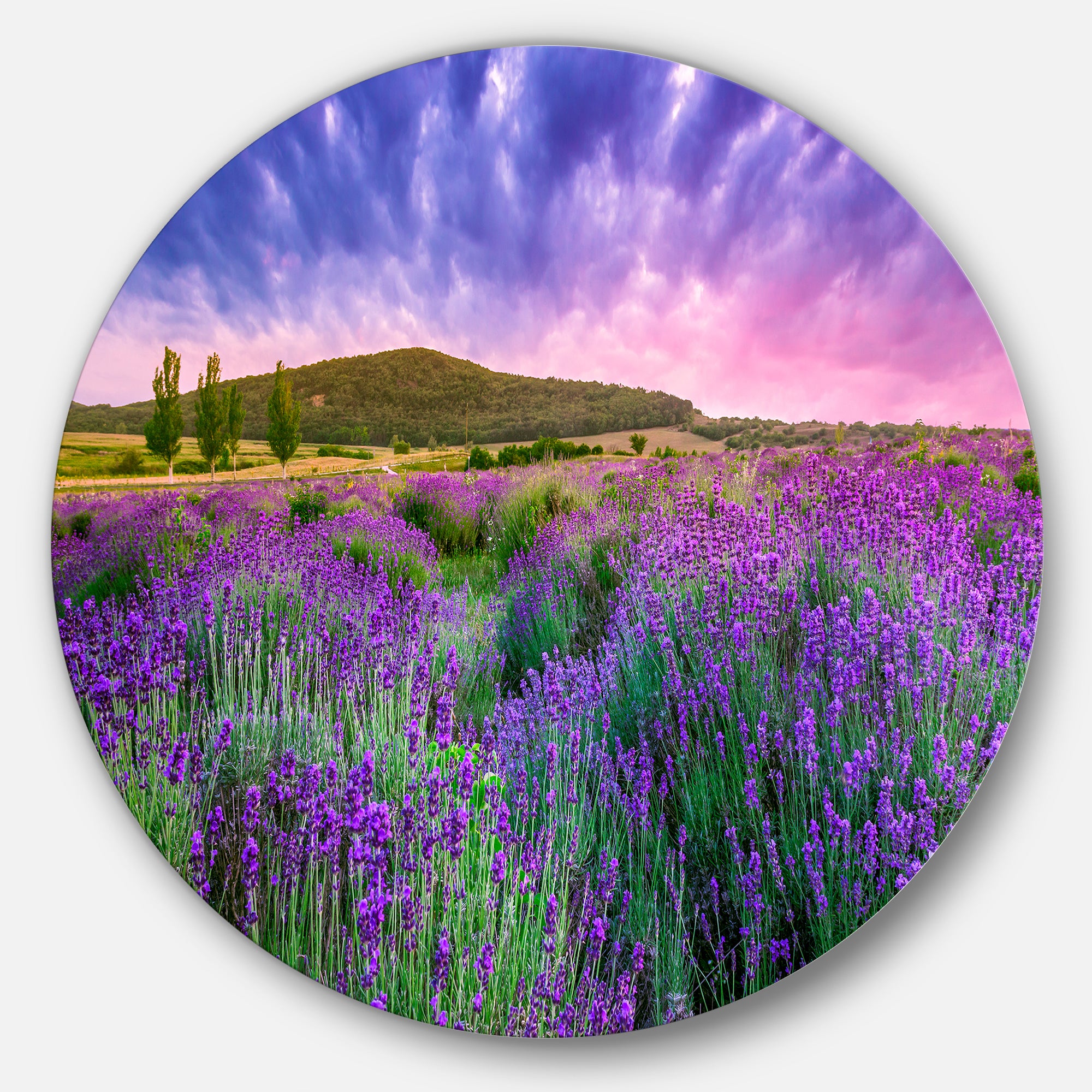 Summer Lavender Field in Tihany' Landscape Metal Circle Wall Art