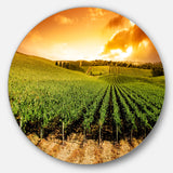 Sunset Vineyard Panorama' Extra Large Wall Art Landscape
