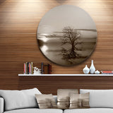 Flying Birds and Lonely Tree' Extra Large Wall Art Landscape